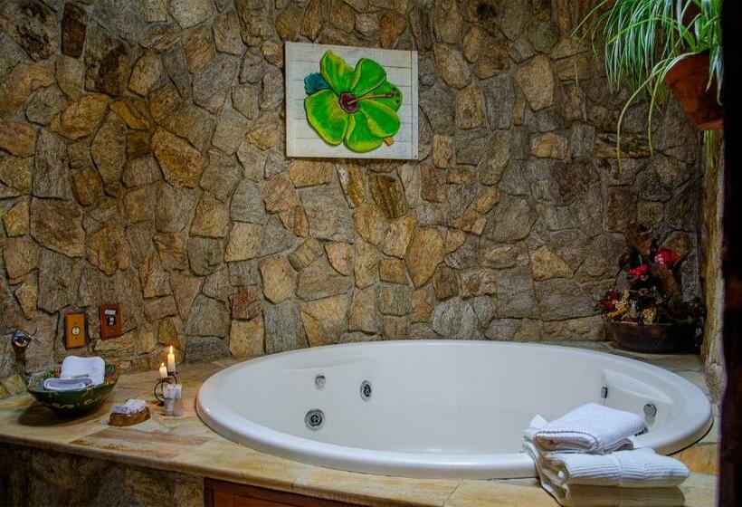 Пансион Pousada Rancho Das Framboesas