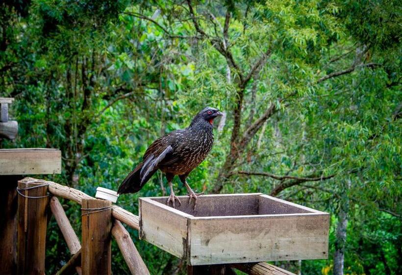 Пансион Pousada Rancho Das Framboesas