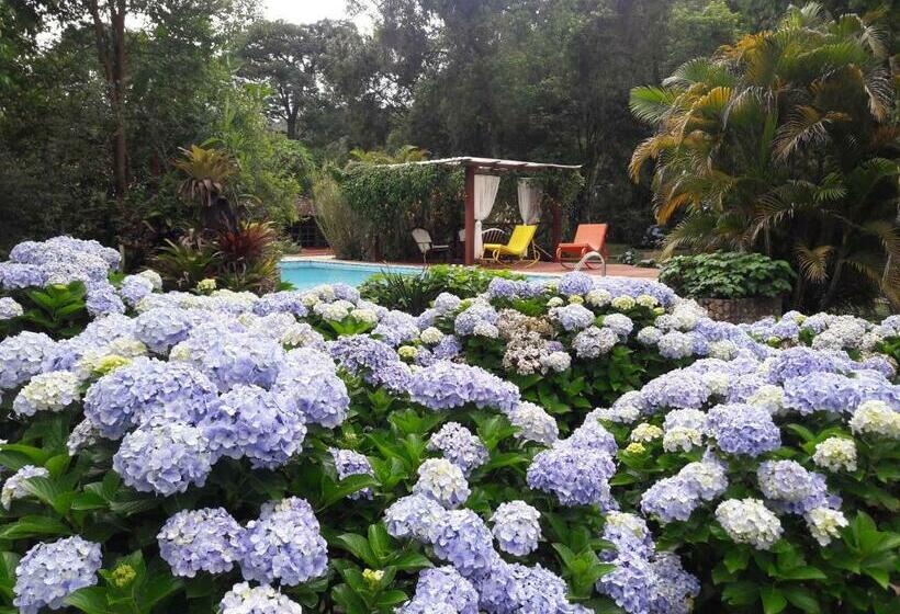 膳宿费 Pousada Recanto Do Pinheirão