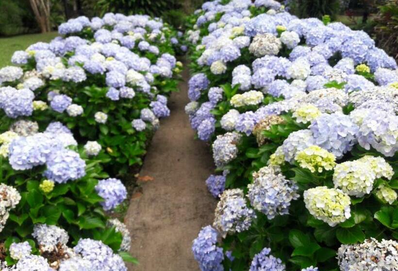 膳宿费 Pousada Recanto Do Pinheirão