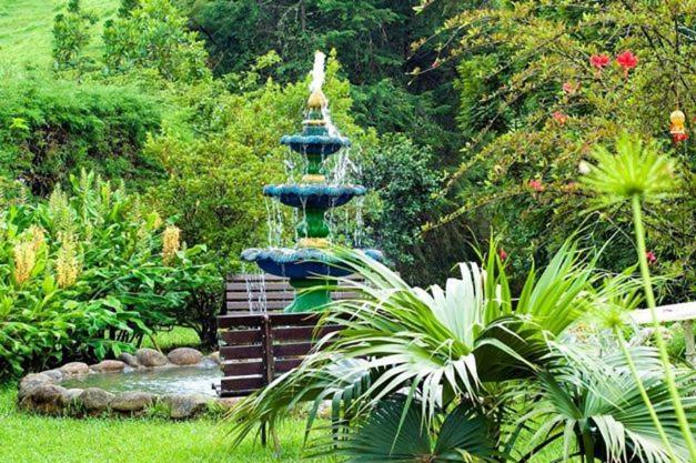 פנסיון Pousada Rio Dos Cristais