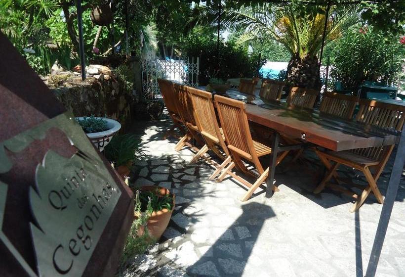 بنسيون Quinta Das Cegonhas