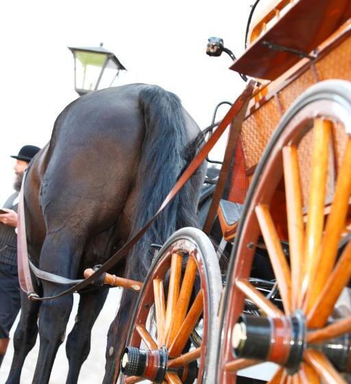 펜션 Rittergut Positz