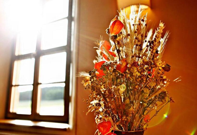 펜션 Rittergut Positz