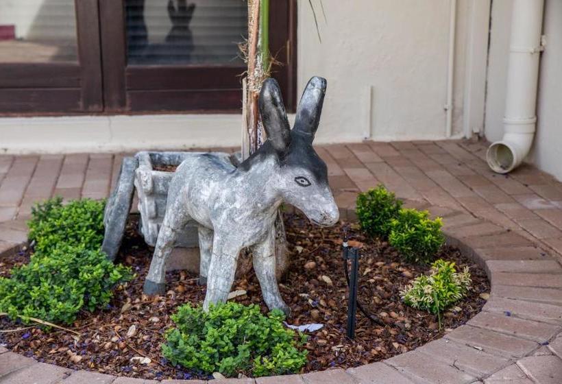 펜션 Schroderhuis Guesthouse No Loadshedding Good Wifi