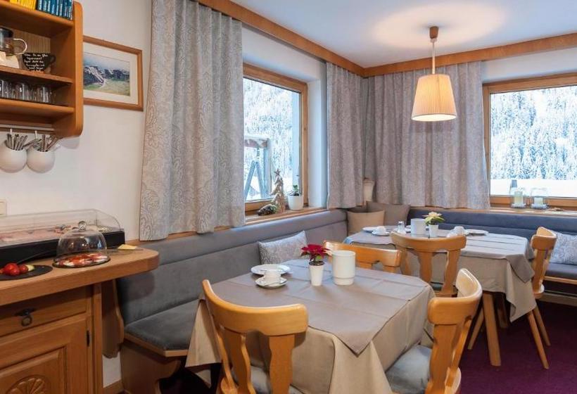 膳宿费 Tschatscha Nova