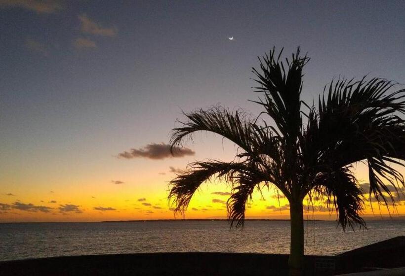 膳宿费 Umi No Nakama