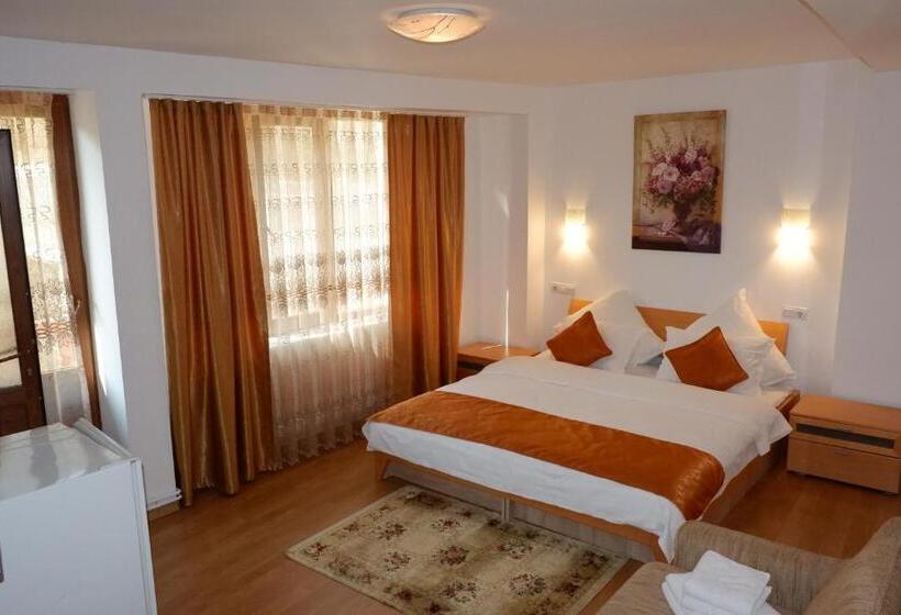 Pension Cuibul Viselor