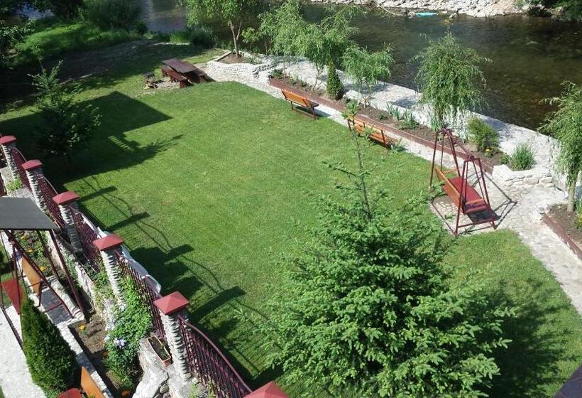 Pension Cuibul Viselor