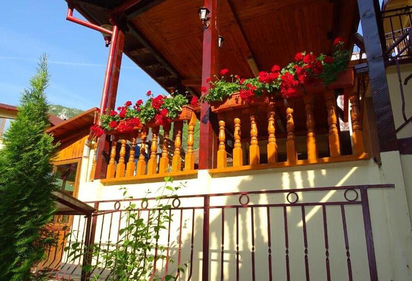 Pension Cuibul Viselor