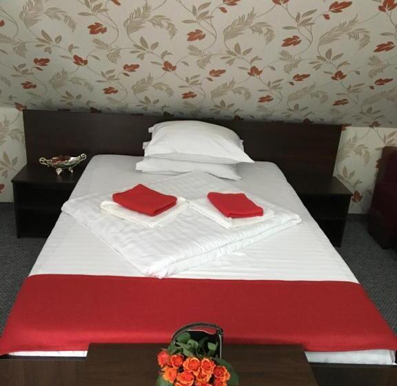 Pension La Viorel Isaila