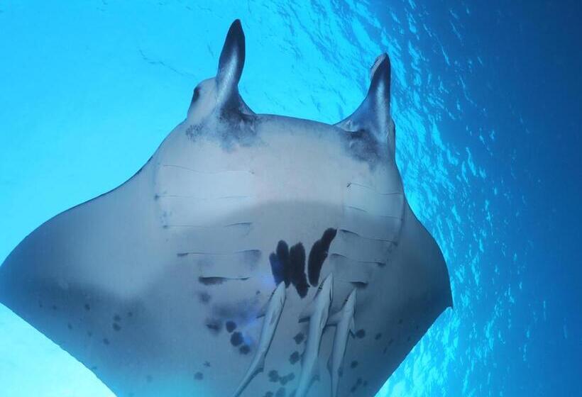 Pension New Hamanoso