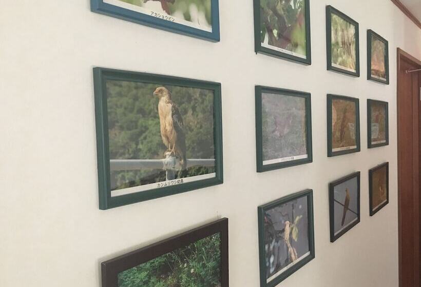 Pension New Hamanoso