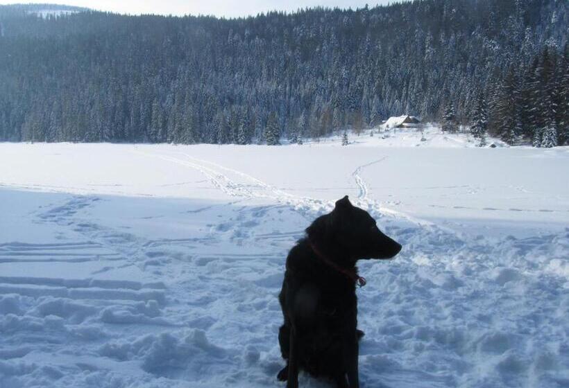 Pension Sonnleit´n Urlaub Mit Hund