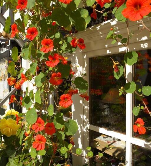 Pension Zueschener Bauernstuben