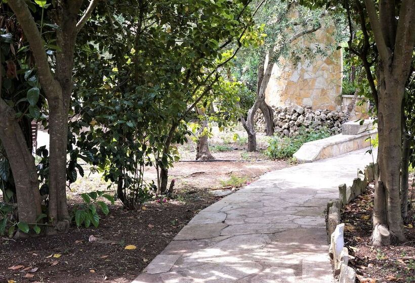 Residence Conchiglia San Giovanni