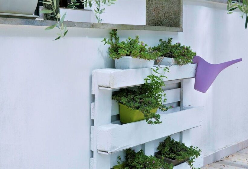 Residence Conchiglia San Giovanni