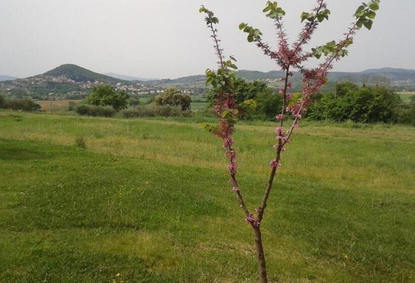 Residence Mariagiulia