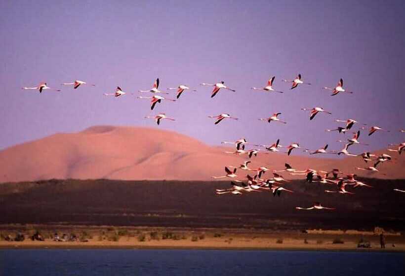Hôtel Riad Tadarte Familier