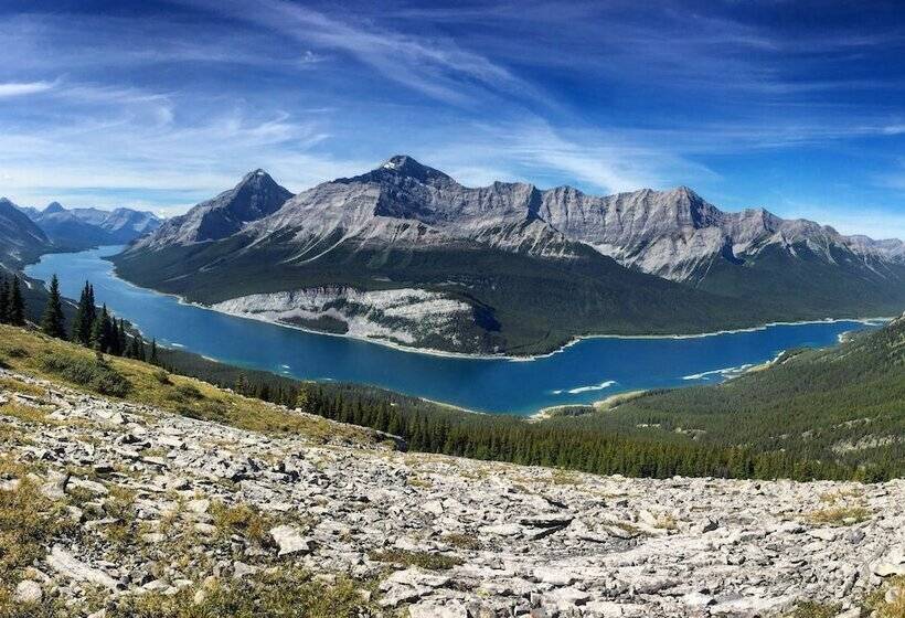 הוסטל A Bear And Bison Country Inn