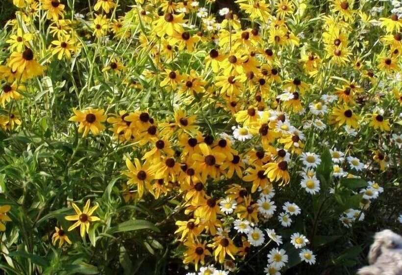 فندق صغير Auberge Cap Aux Corbeaux