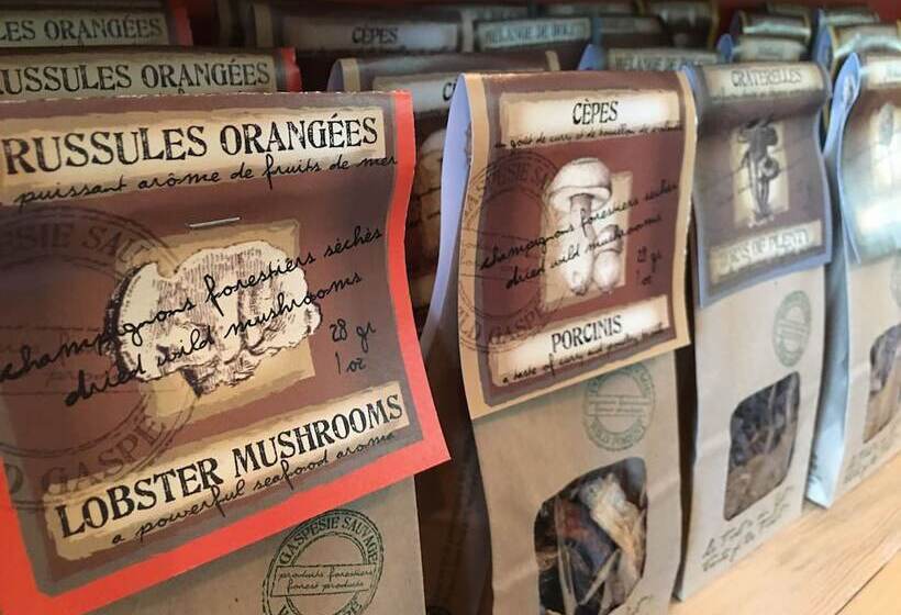 הוסטל Auberge Du Marchand