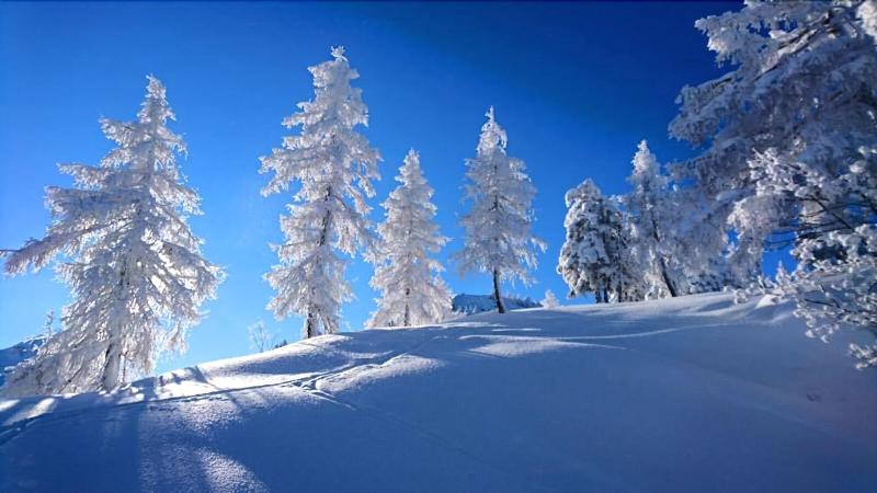 Общежитие Gasthaus Maislau