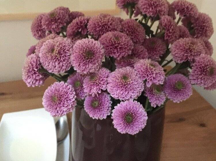 Общежитие Gasthaus Maislau