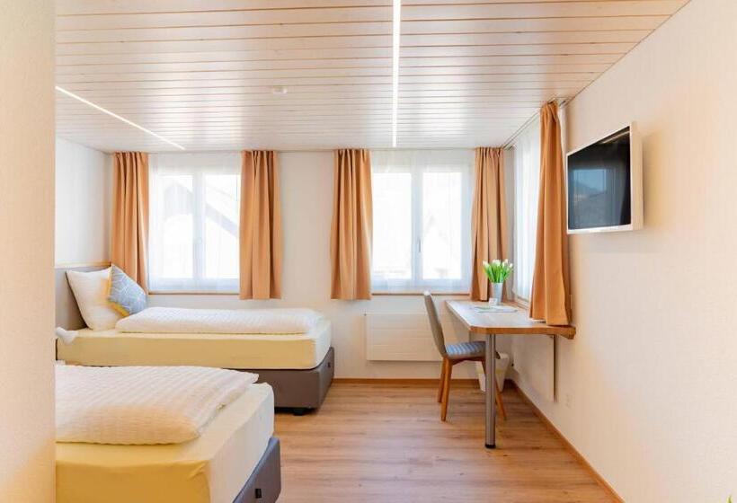 הוסטל Gasthaus Engel Hasle