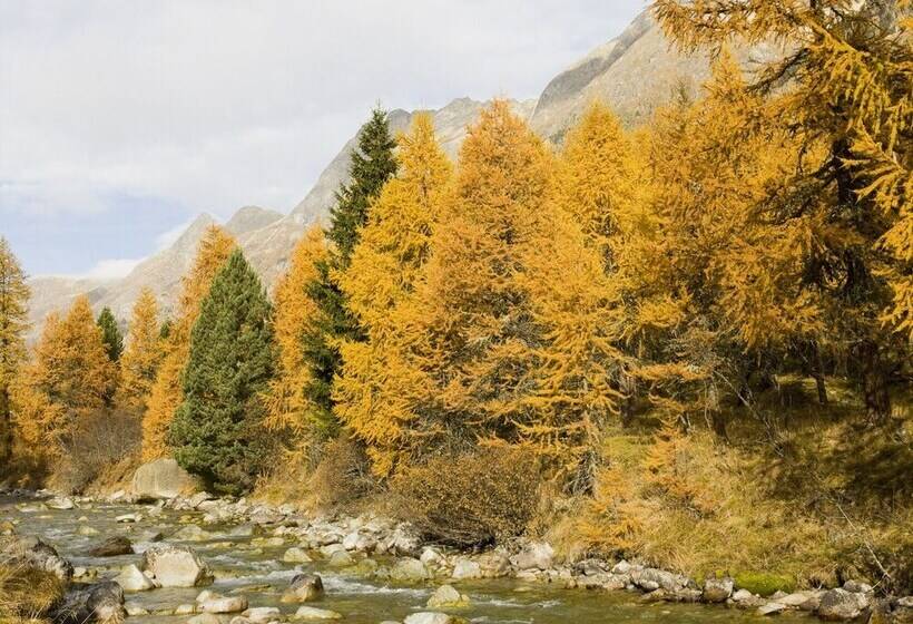 הוסטל Gasthaus Spinas