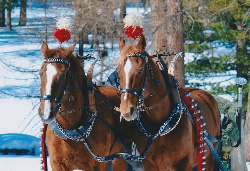 הוסטל Gasthaus Spinas