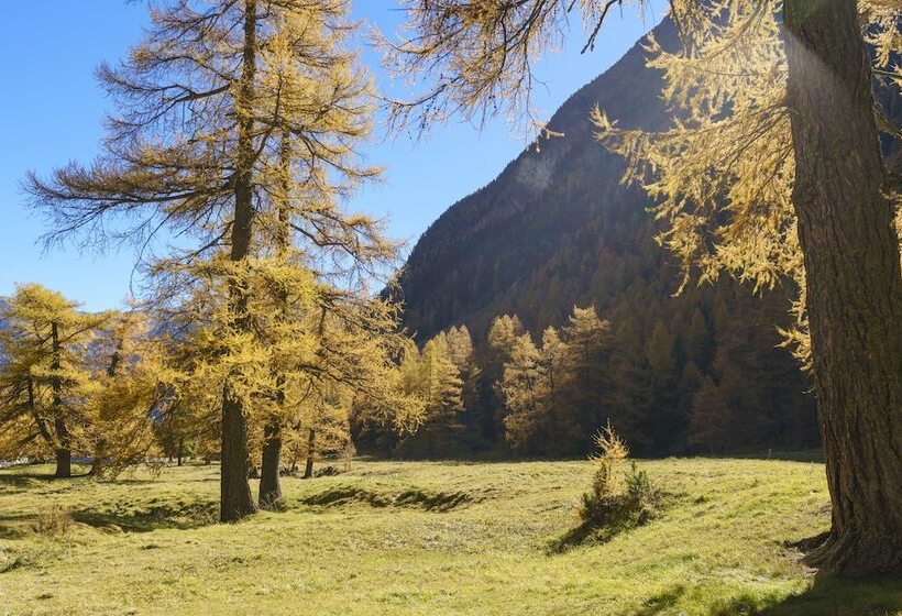 הוסטל Gasthaus Spinas