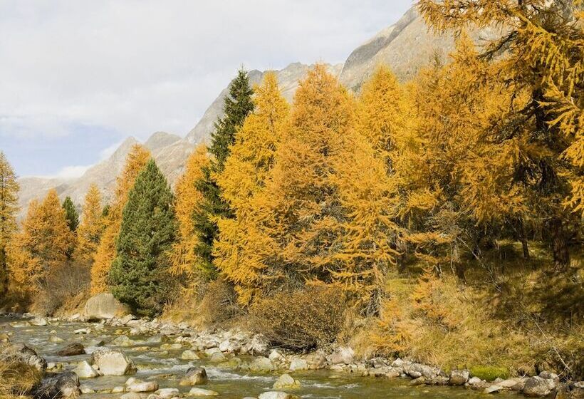 הוסטל Gasthaus Spinas