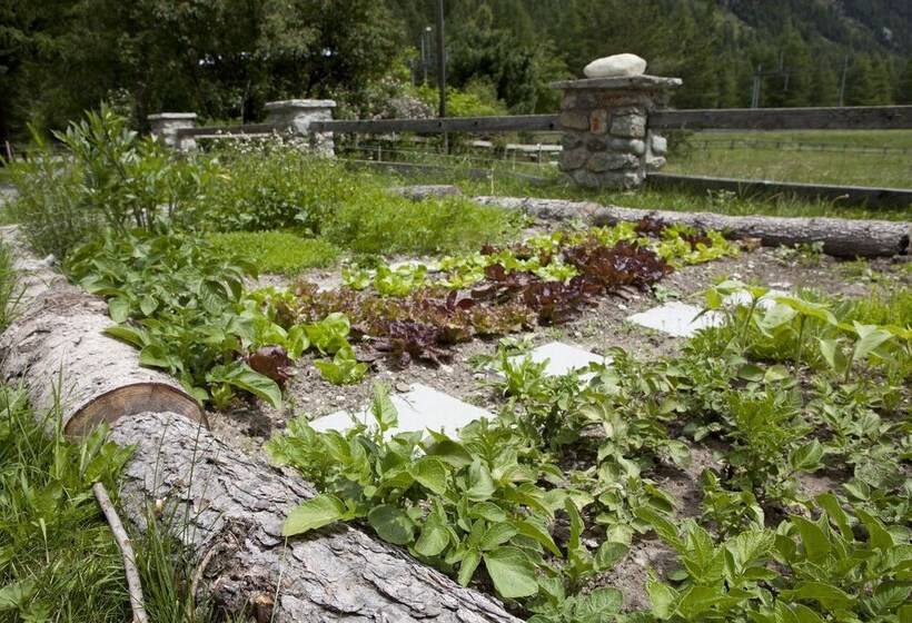 הוסטל Gasthaus Spinas