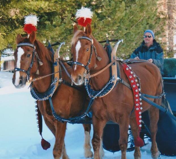 הוסטל Gasthaus Spinas