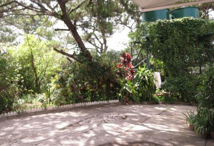 هاستل Inn Rocio And Restaurant