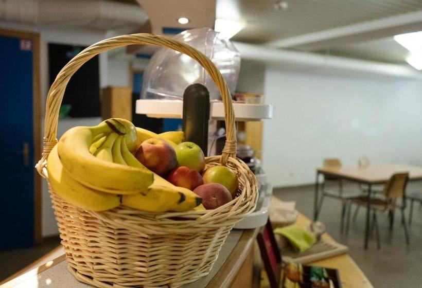 فندق صغير Mont Fort Swiss Lodge