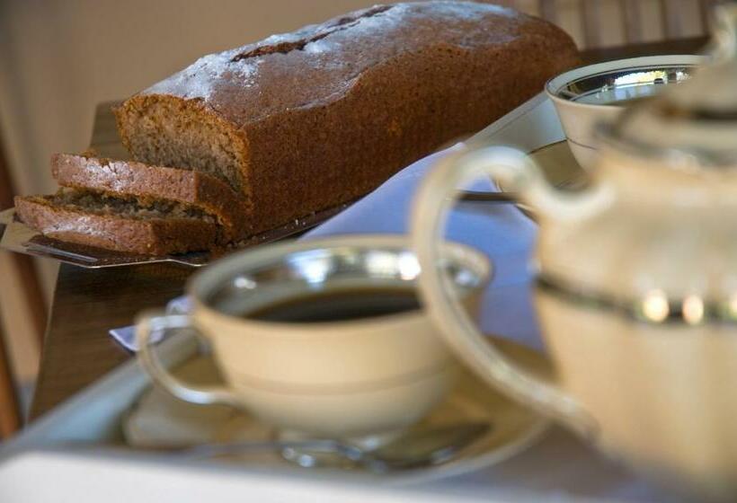 Общежитие Posada Verde Oliva