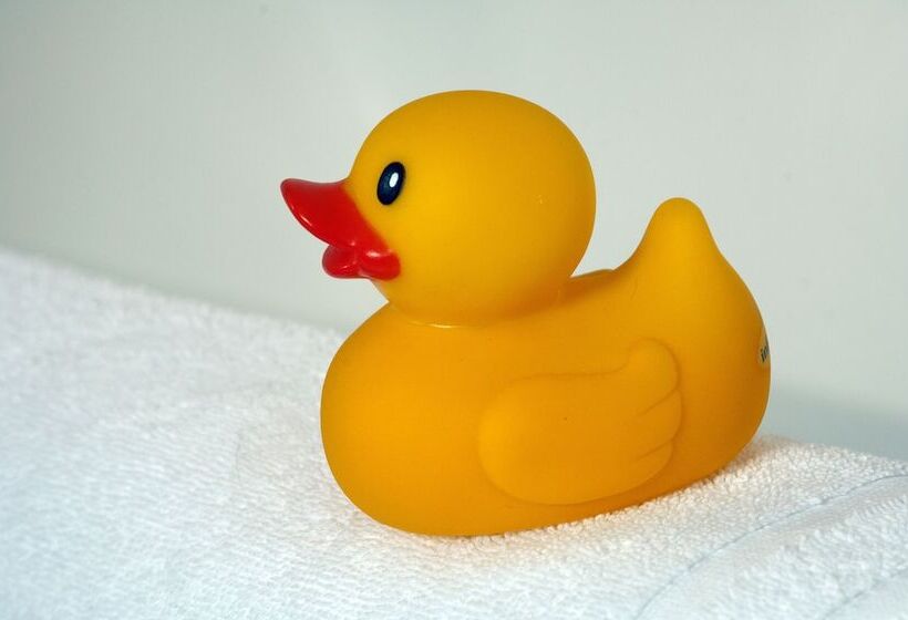 فندق صغير The Historic Elk Mountain