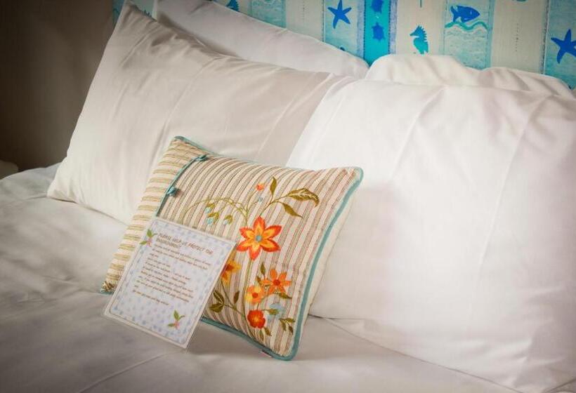 فندق صغير The Islander Inn