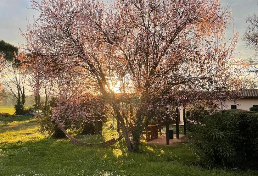 Casa Vacanze Nonna Vittoria