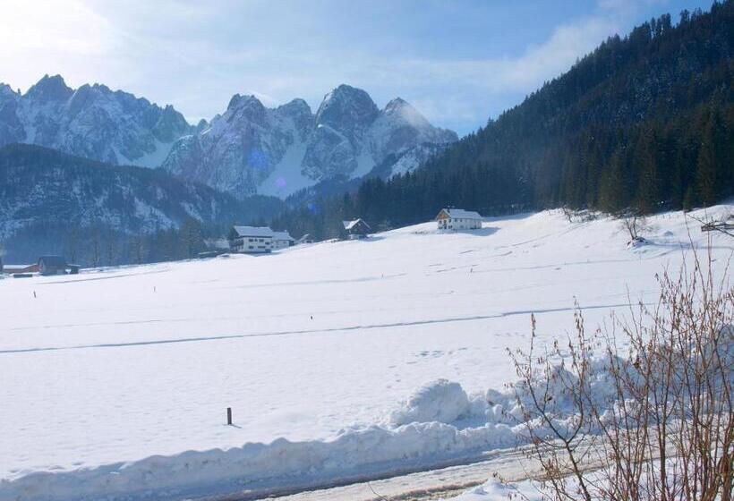 Frühstückspension Pachler