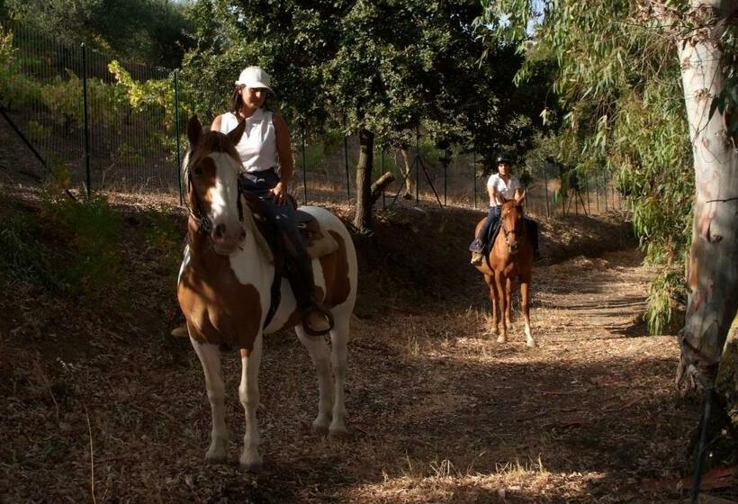 ホテル Agriturismo Al Poggetto