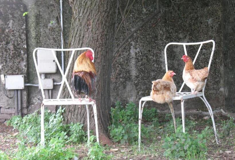 فندق Agriturismo Corte Virgiliana