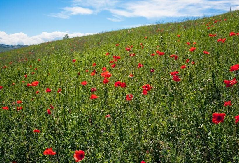 فندق Agriturismo Il Cavicchio