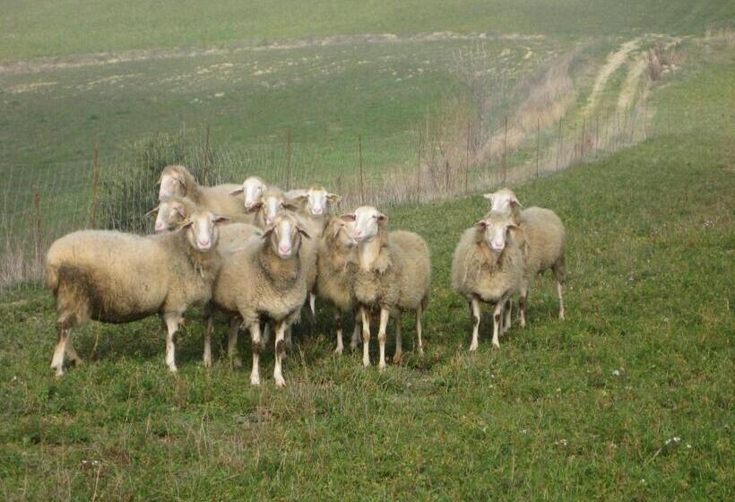 בית מלון כפרי Agriturismo La Campana