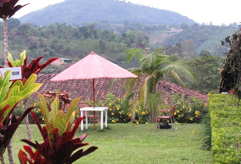 ホテル Alto De Los Andaquies