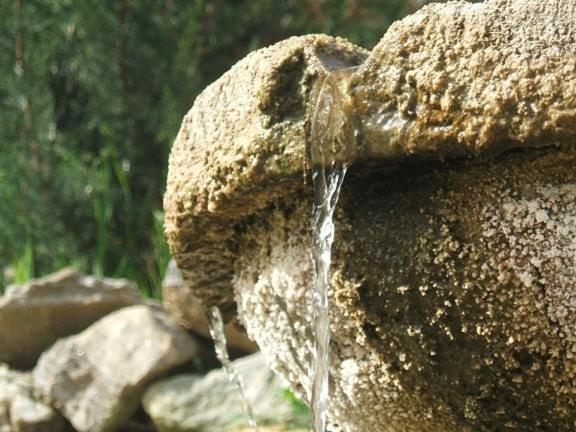 Отель Ciuci S Manor