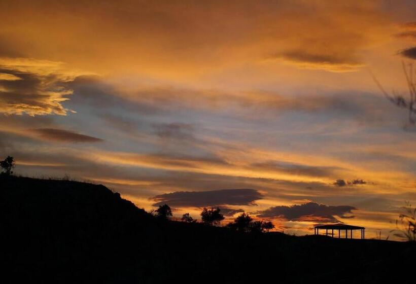 Отель Ciuci S Manor