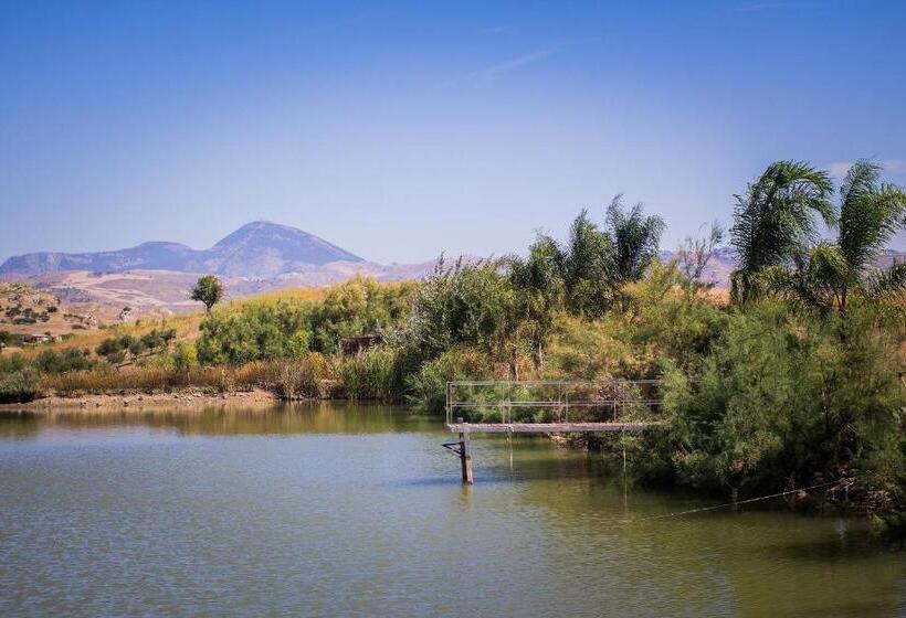 Отель Ciuci S Manor